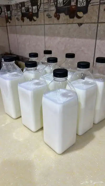 لبن أبقار مبخر index