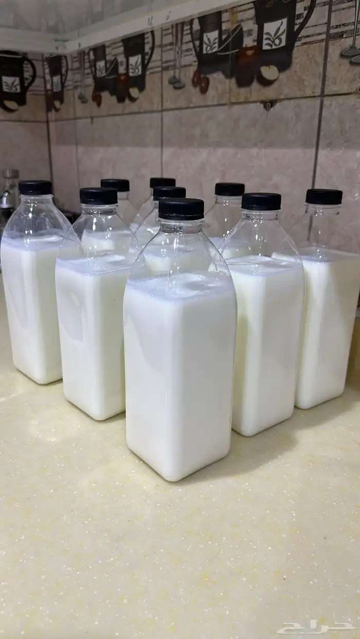 لبن أبقار مبخر 0