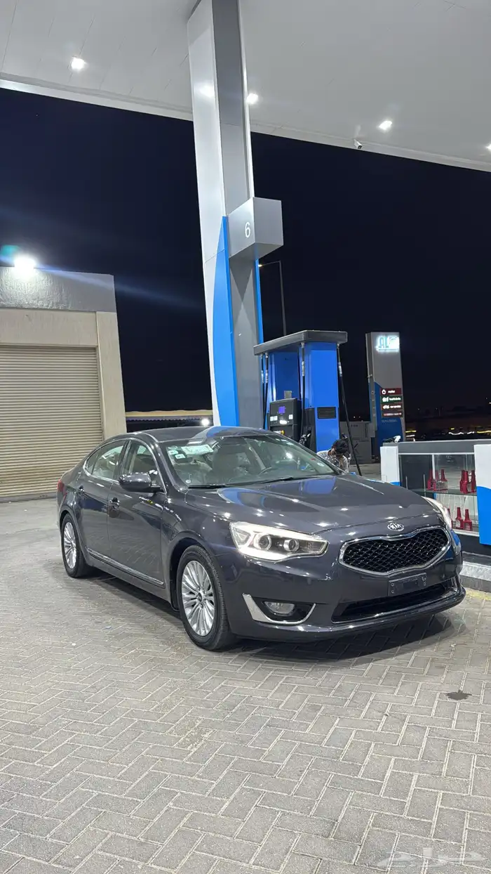 كادينزا 2014 4