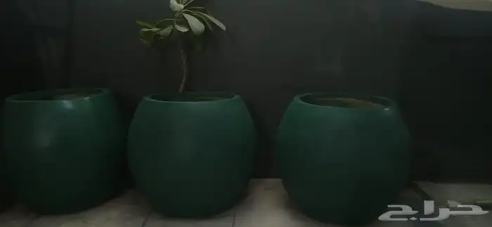 فيبر جلاس أحواض وتشيكلات 5