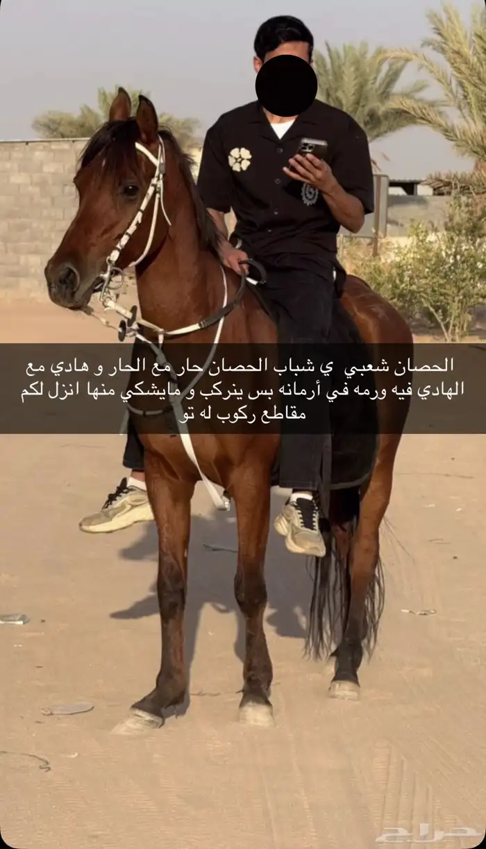 معلوماته في اصوره 0