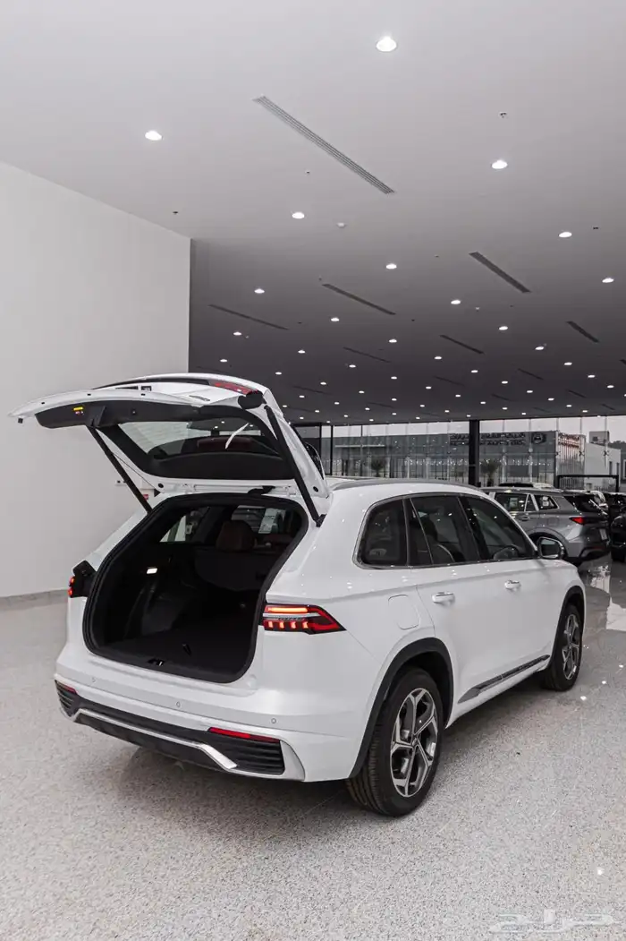 جيلي مونجارو 2024 نص فل AWD   تيربو235 حصان ب 93150 بالضريبة 9