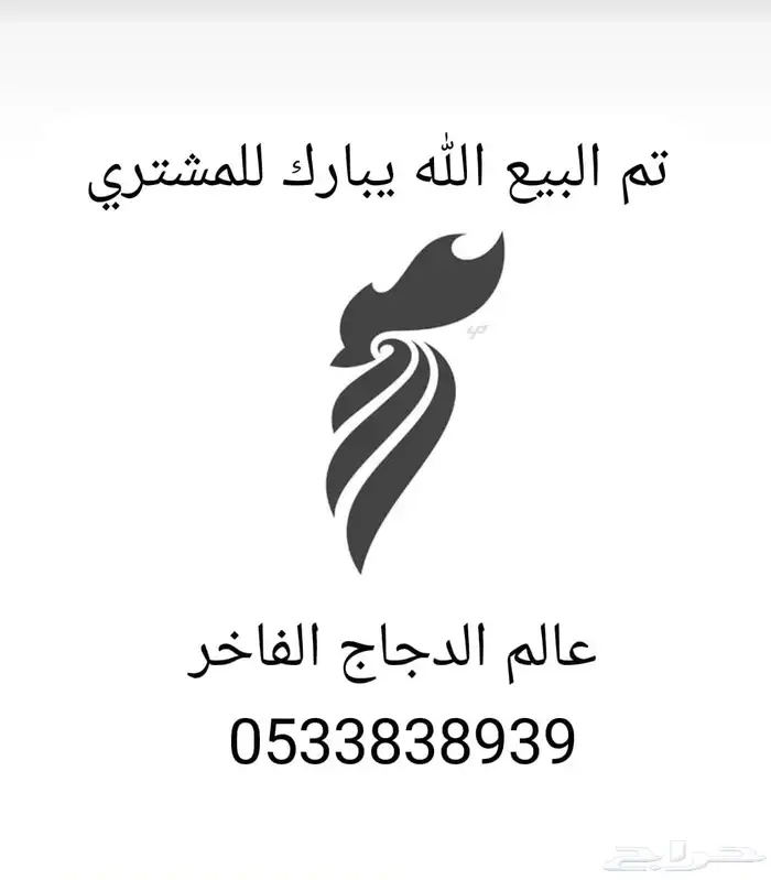 دجاج جبنيز قزم مميز 0