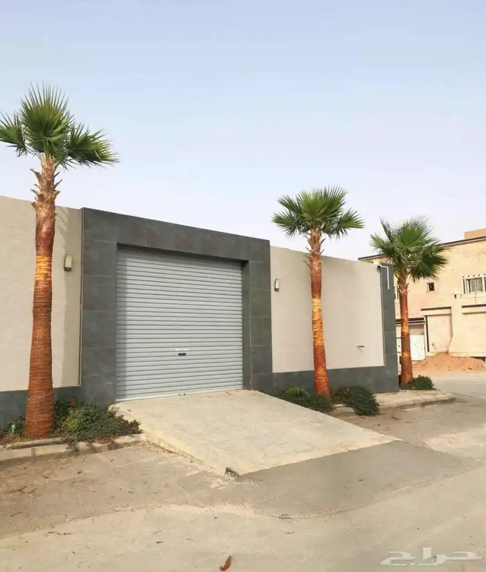 يوجد لدينا نخل وشنطني زينه جميع المقاسات ونخل عربي مثمره 7