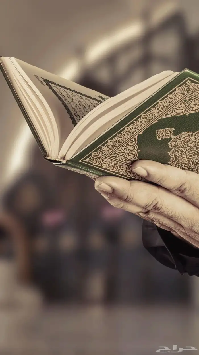 معلم قرآن وتفسير الآيات و تعليم القاعدة النورانية (أونلاين) 0