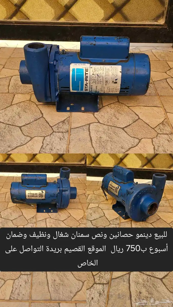 دينمو حصانين ونص سمنان نظيف 1