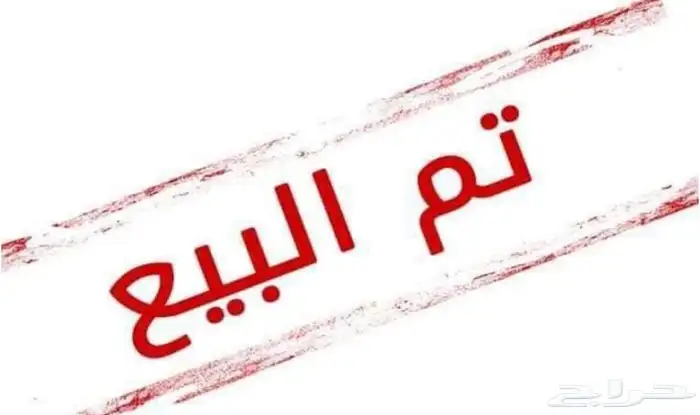 ارنب فرنسي 0