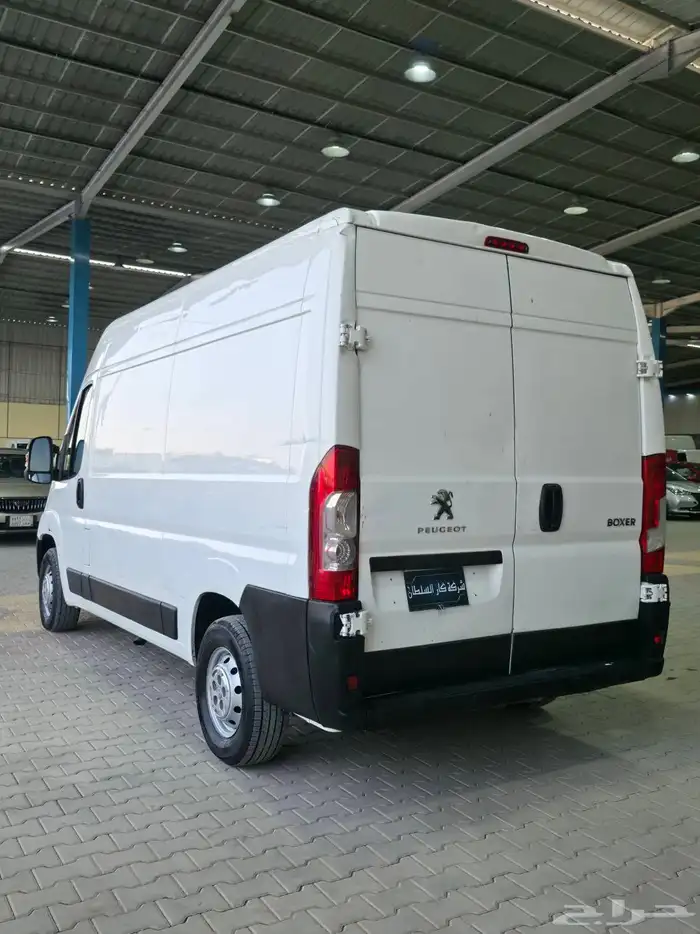 بيجو - بوكسر وسط - 2021 - بضاعة 4