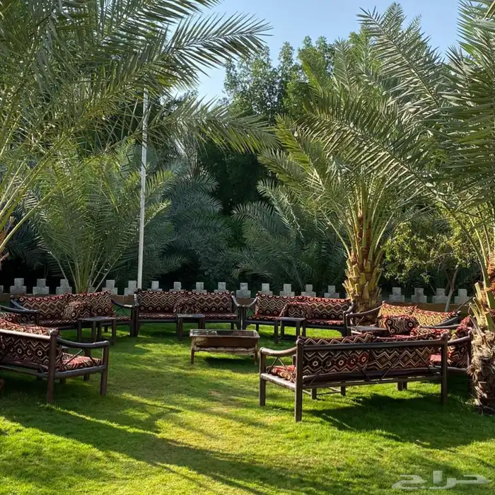 مزرعة ريم الريفية للبيع   الخرج   الدلم 16