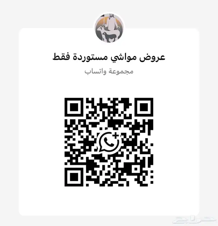 قعدان صومالية مرابي فل 2