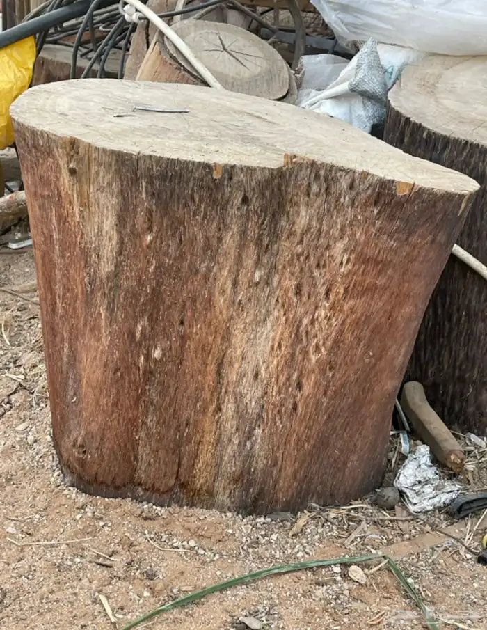 كراسي خشب طبيعي 3