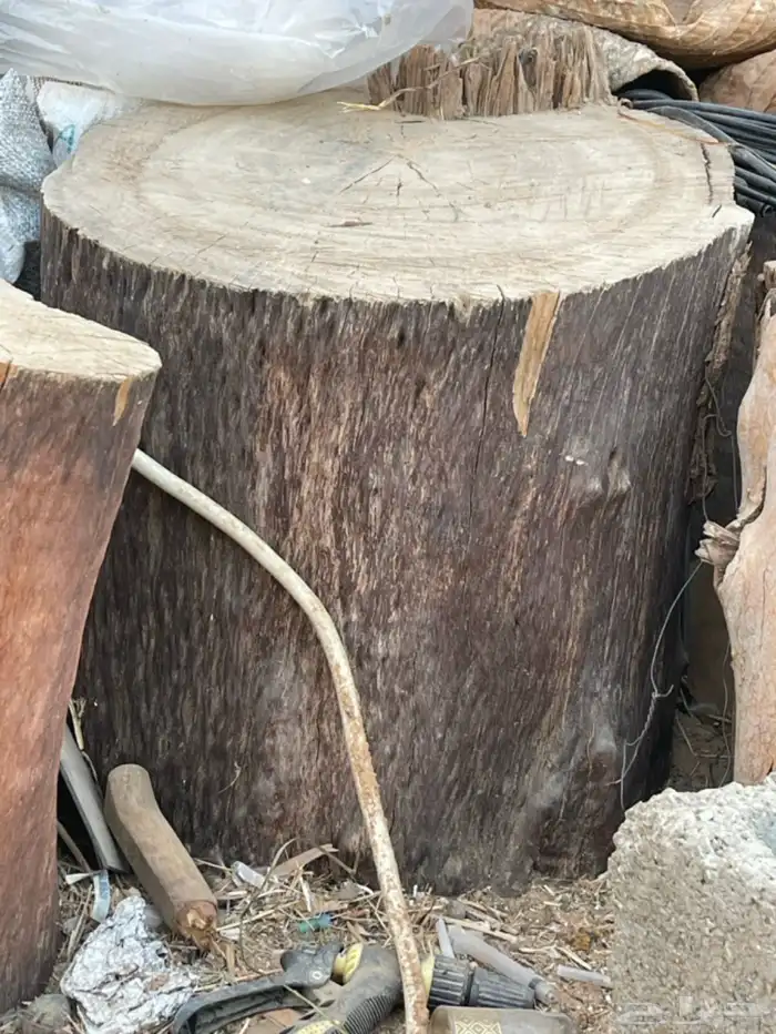 كراسي خشب طبيعي 4