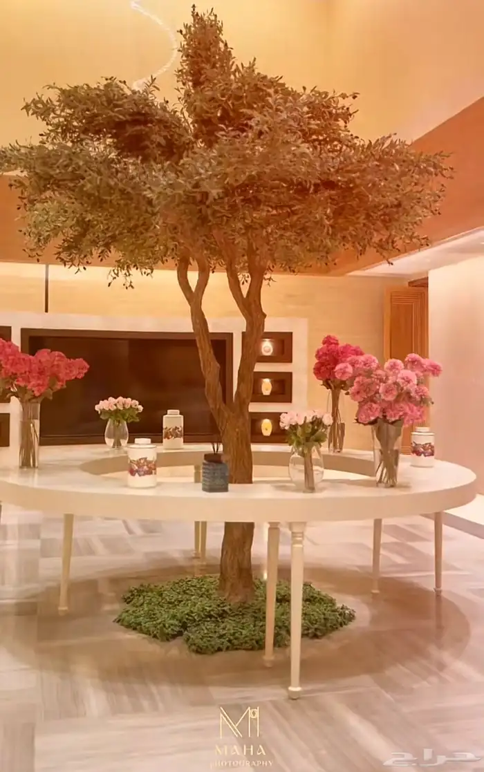 كوش افراح استقبالات مواليد حفلات خطوبه 7