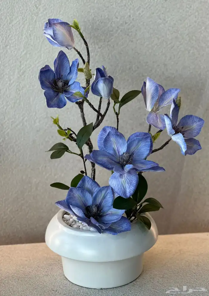 https   maps.app.goo.gl hpED9NPyrjjG7xEz7 g_st ic 94