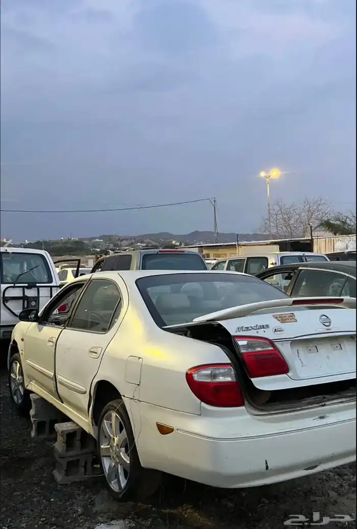 تشليح العمري قطع مكسيما 0