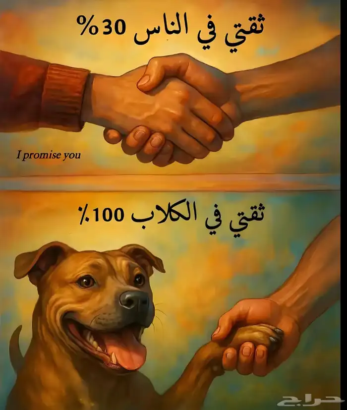 مدرب كلاب طاعه 0
