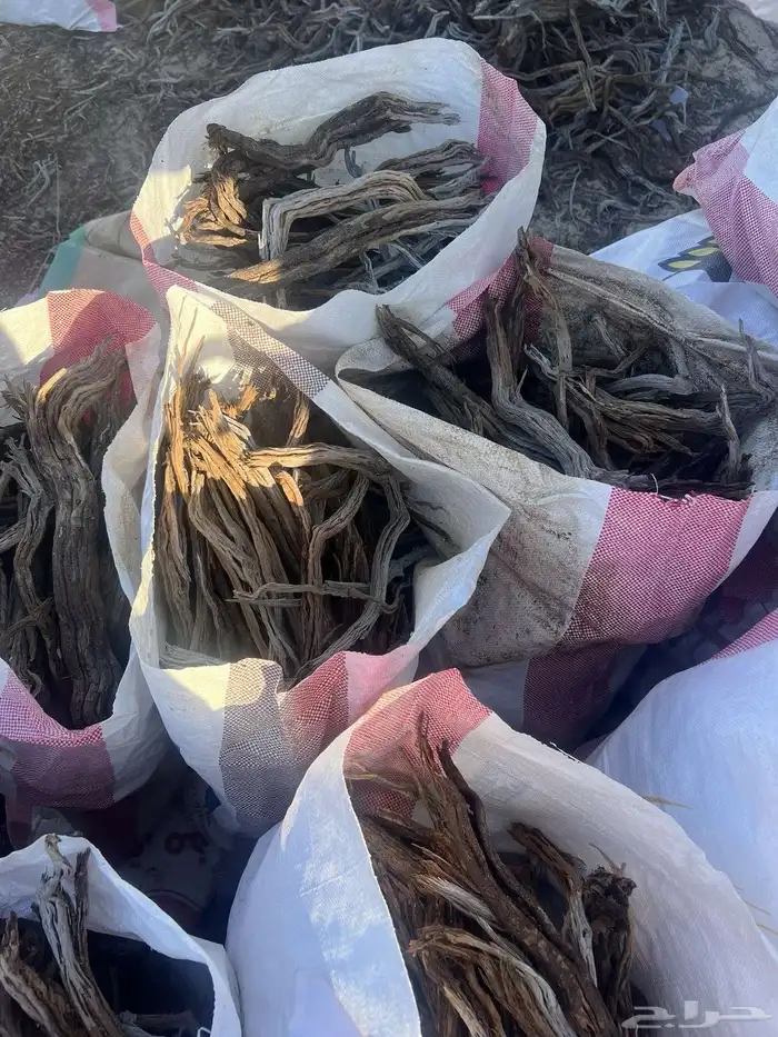 رمث مستورد 1