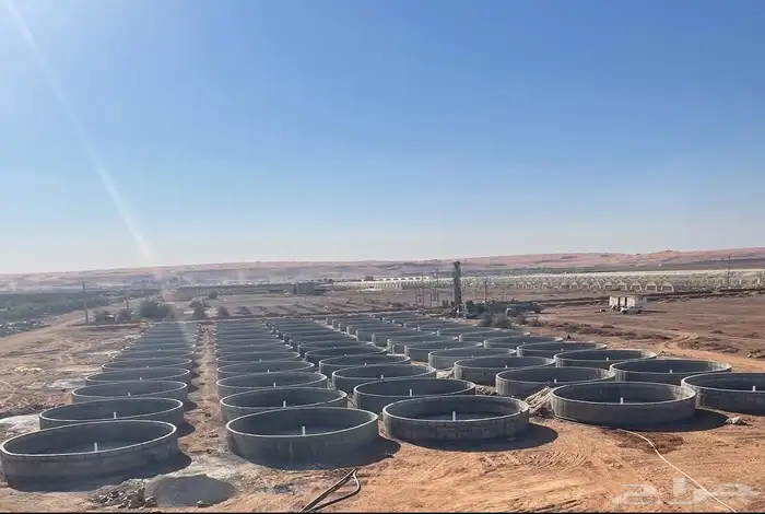 يوجد لدينا للايجار احواض سمك العدد 60 حوض 1