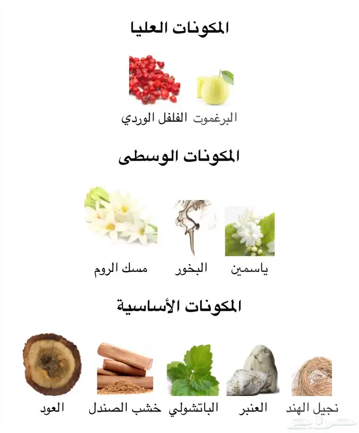 عطر فان كليف بريشوس عود 2