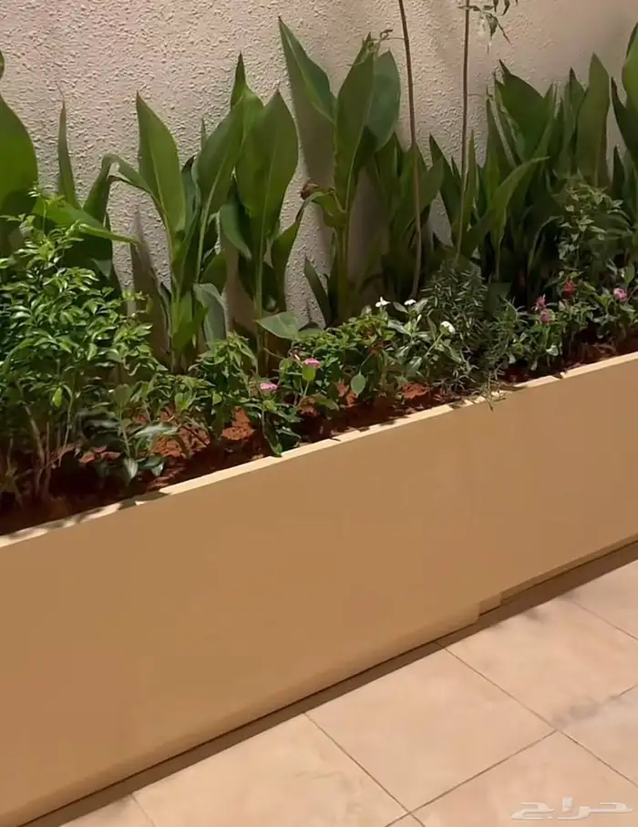 مشاتل ابو احمد 8