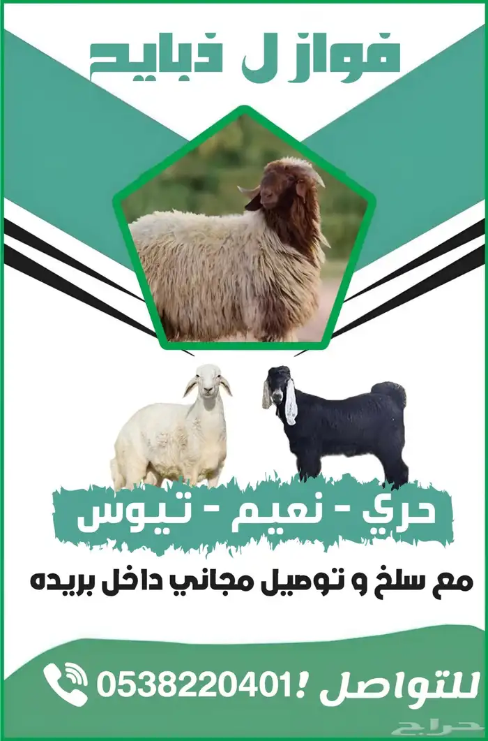 ذبايح بري نضيف مع صلخ مجاني و توصيل 1