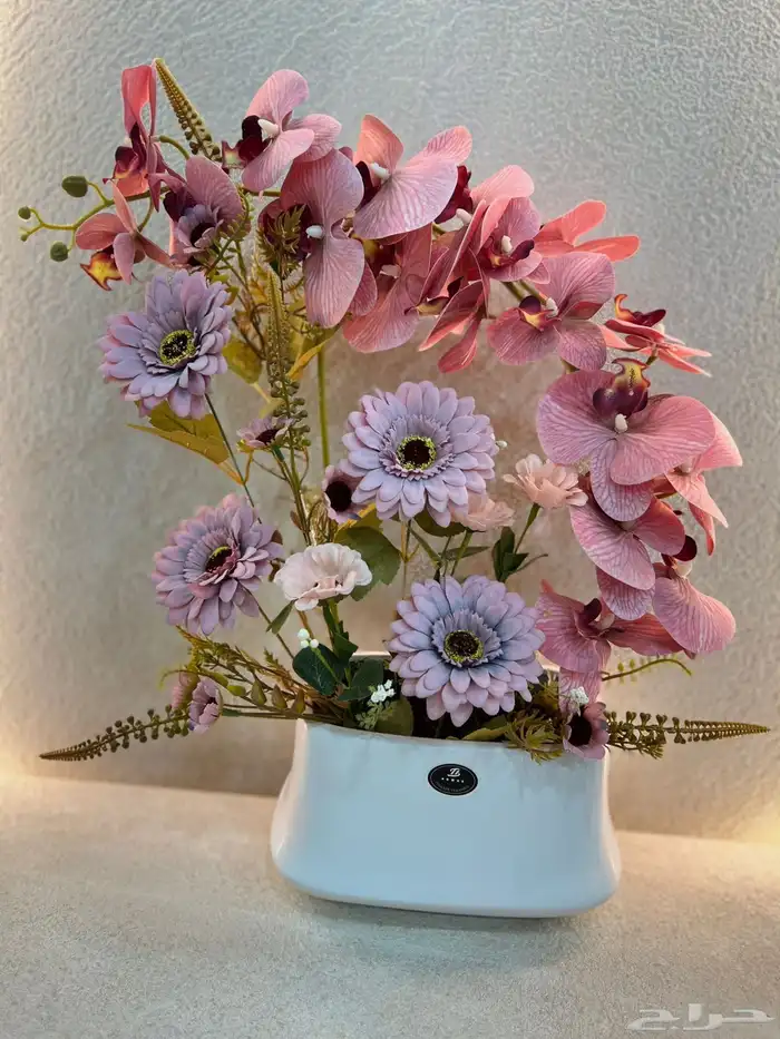 https   maps.app.goo.gl hpED9NPyrjjG7xEz7 g_st ic 93