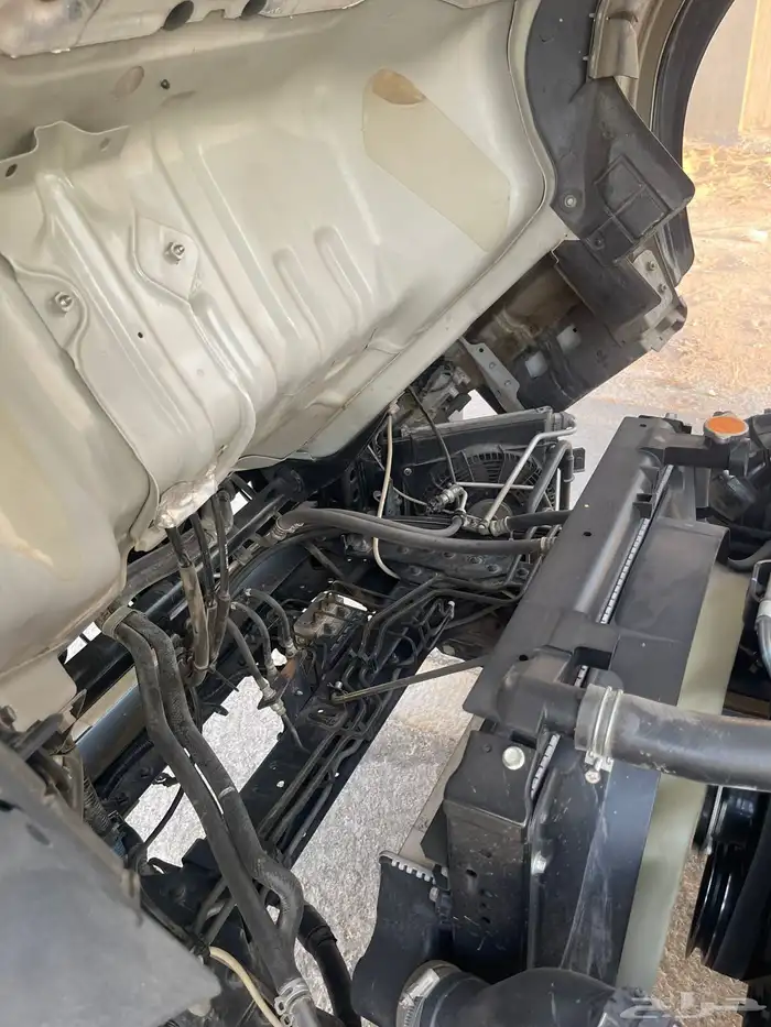 دينا ايسوزو 2020 ثلاجة تجميد نظيفة 5