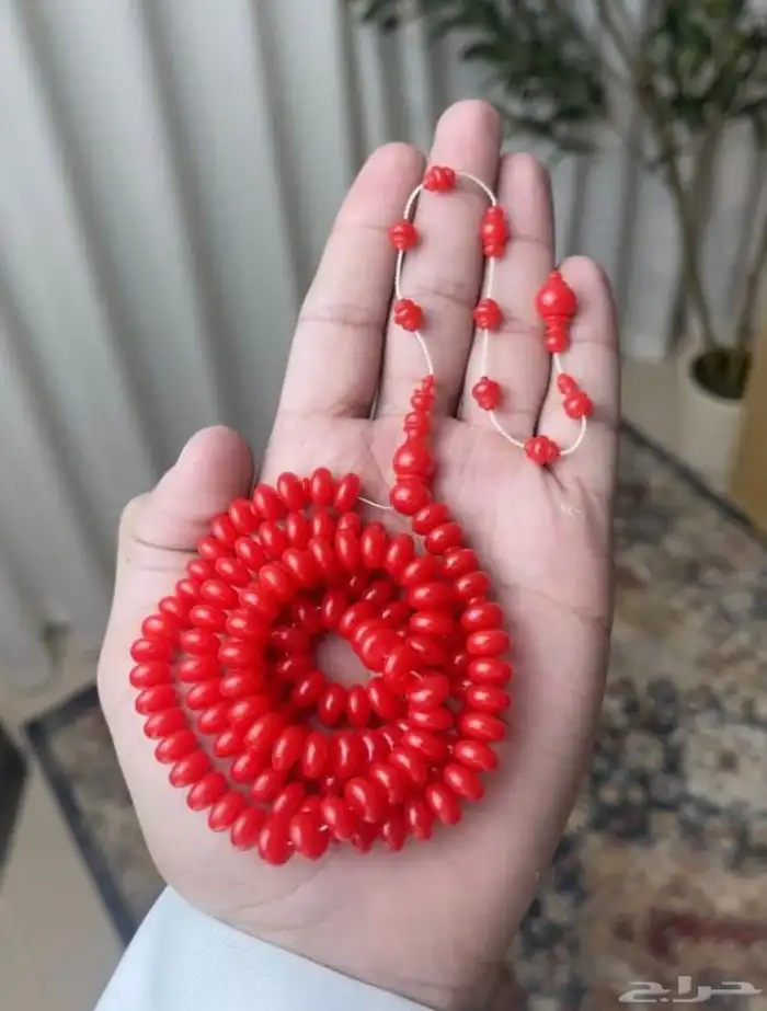 مسباح مساطر 0