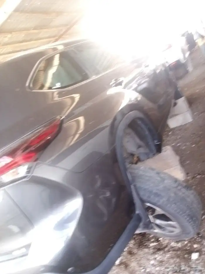 تويوتا هايلاندر موديل 2024 3