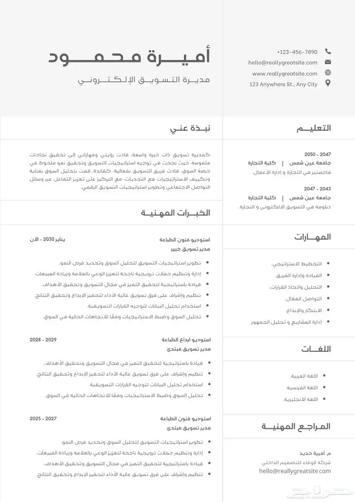 تصميم سيرة ذاتية احترافية 4