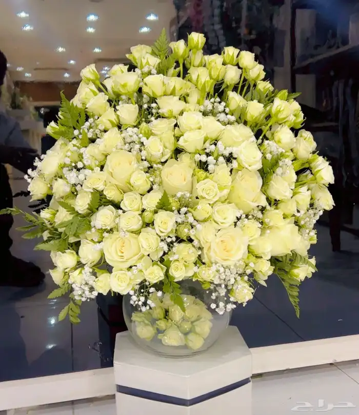 https   maps.app.goo.gl hpED9NPyrjjG7xEz7 g_st ic 15