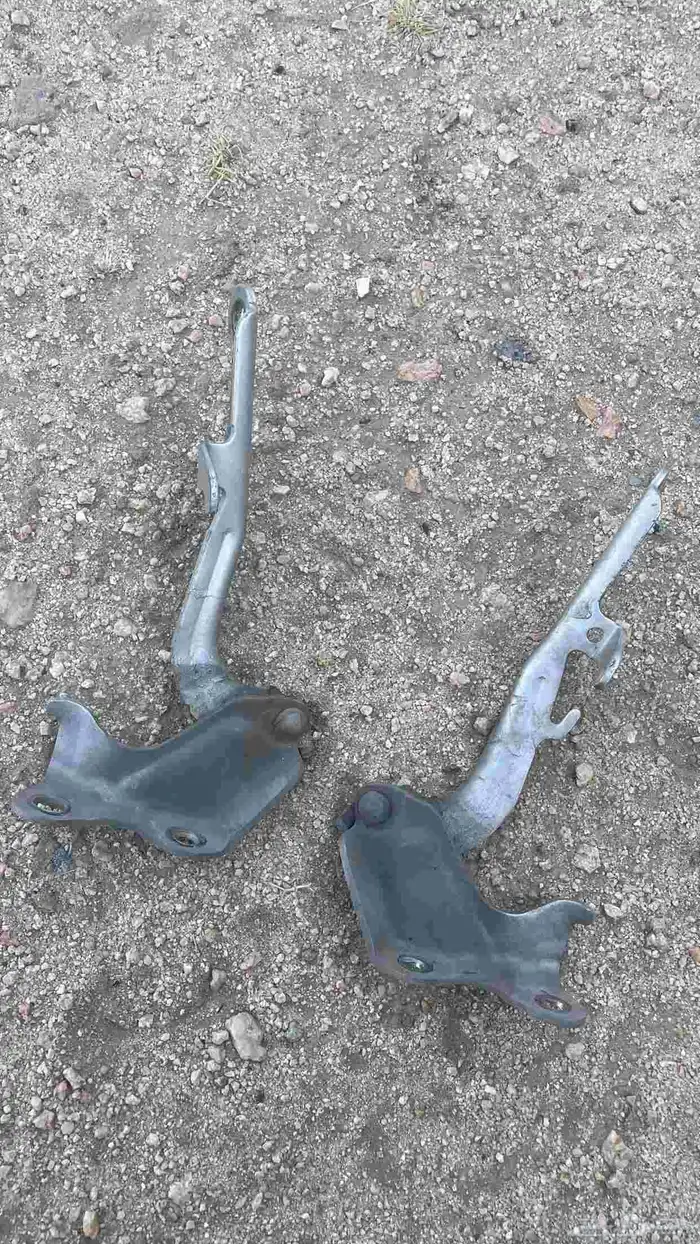 كبوت كامري 03 06 0