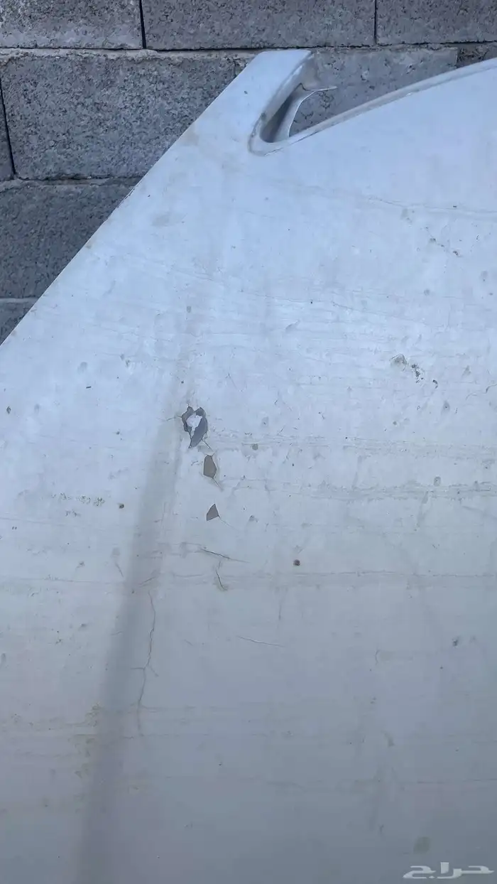 كبوت كامري 03 06 2