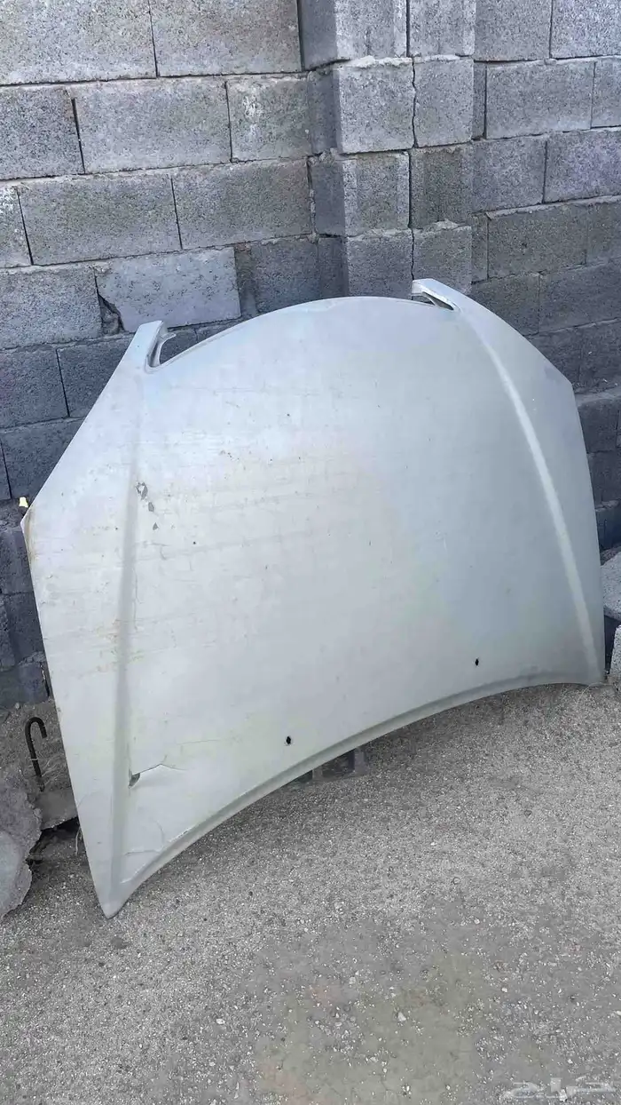 كبوت كامري 03 06 4