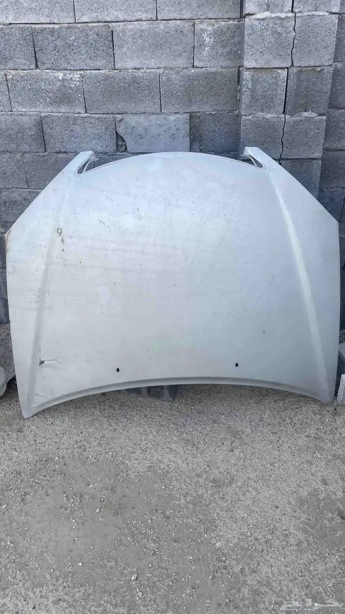 كبوت كامري 03 06 1