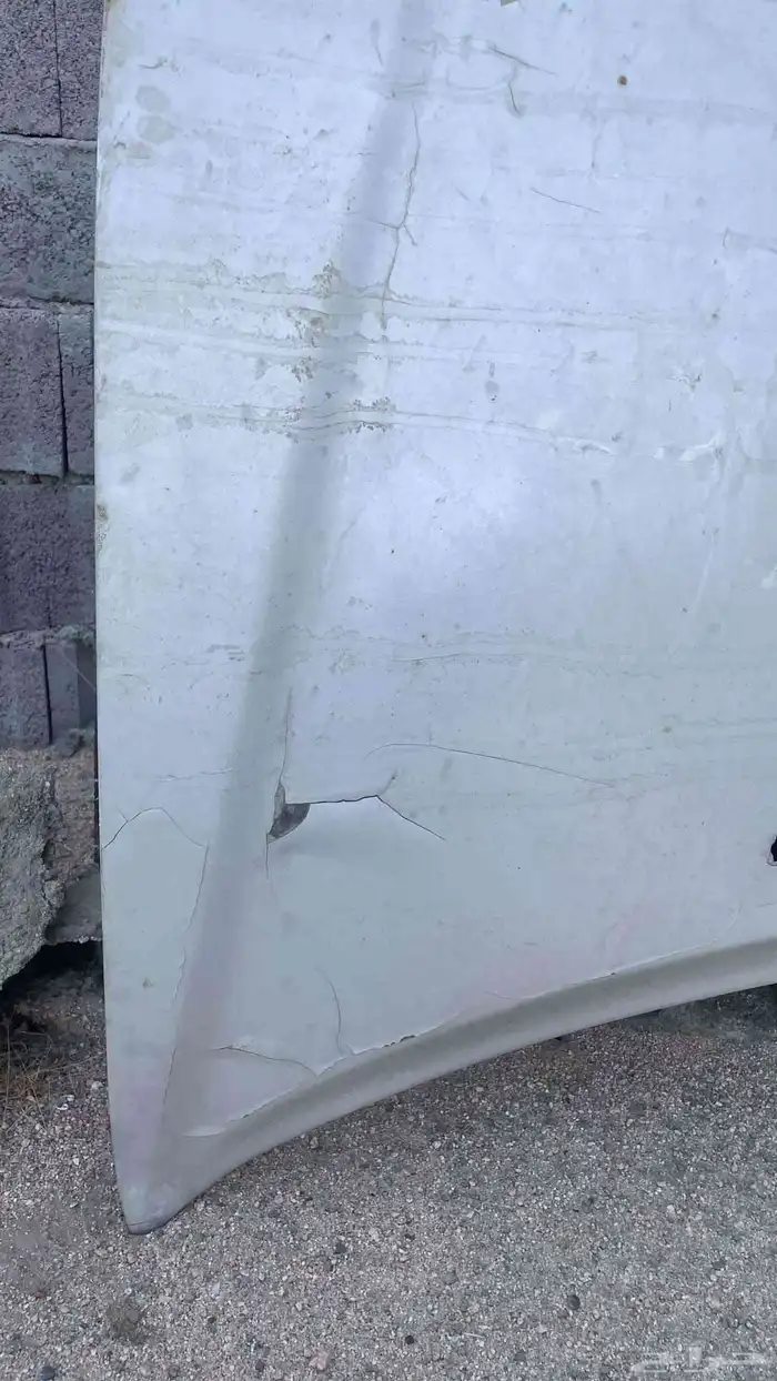 كبوت كامري 03 06 3