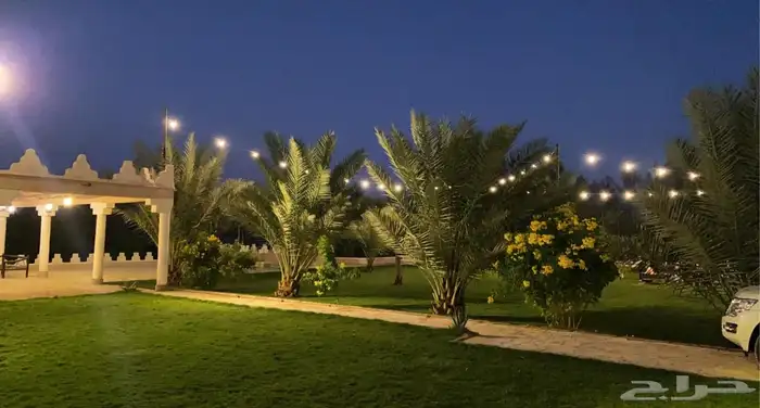 مزرعة ريم الريفية للبيع   الخرج   الدلم 12