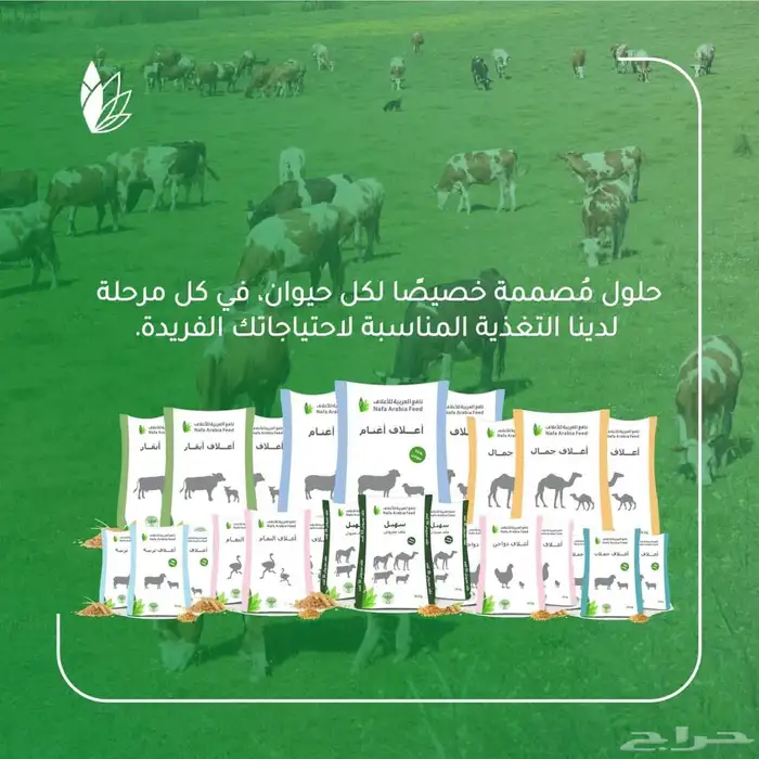 أعلاف حيوانات بجودة عالية 4