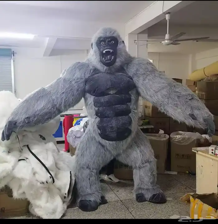 غوريلا للبيع 0