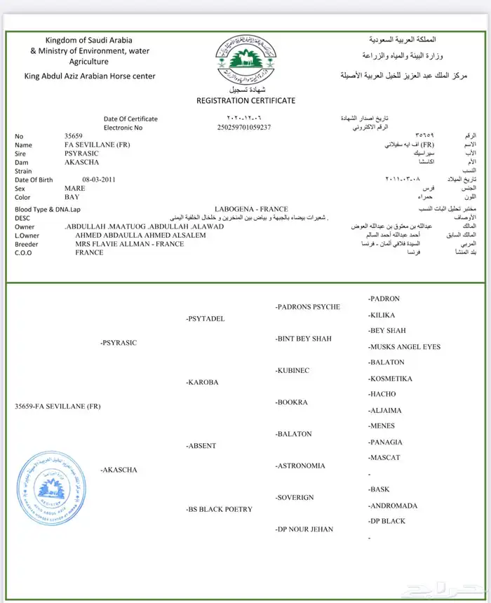 فرس مكس مواليد 2011 3