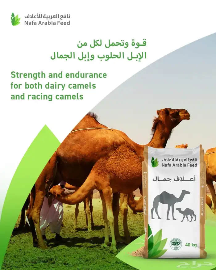 أعلاف حيوانات بجودة عالية 3