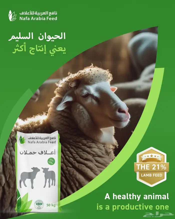 أعلاف حيوانات بجودة عالية 2