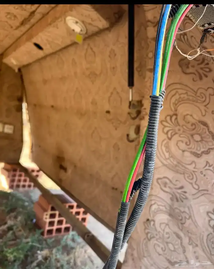 شد شاص من عروق الشمال 4