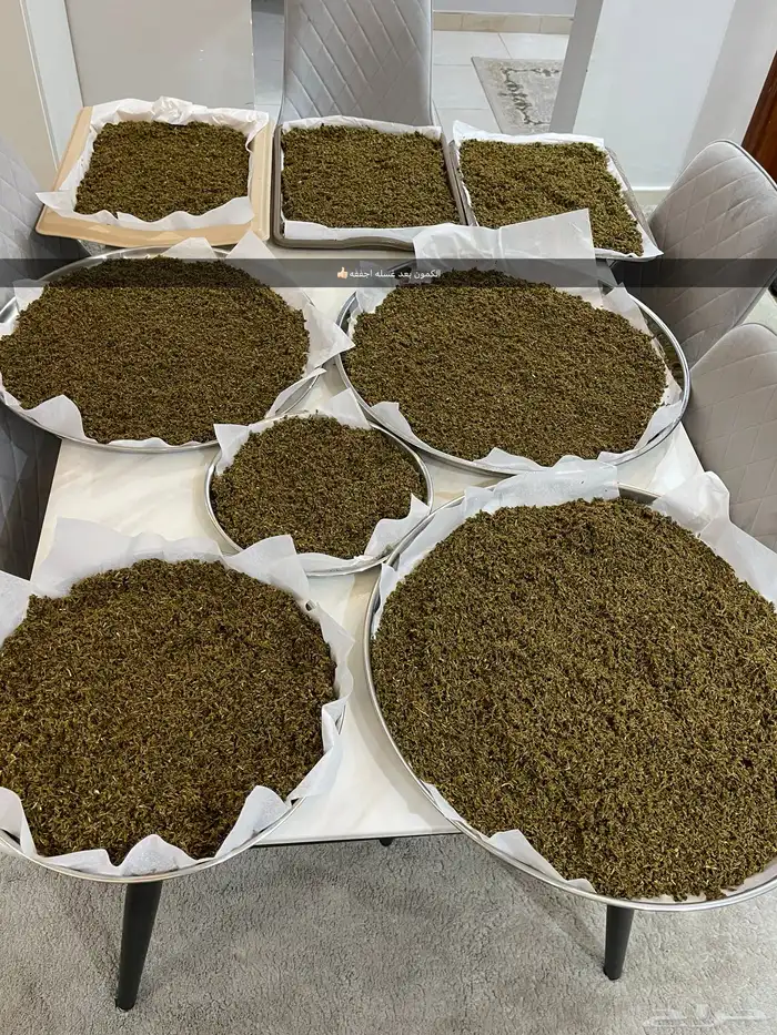 بهارات شغل نظيف 2