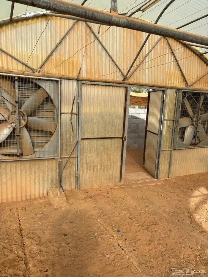 هيكل بيت محمي 1