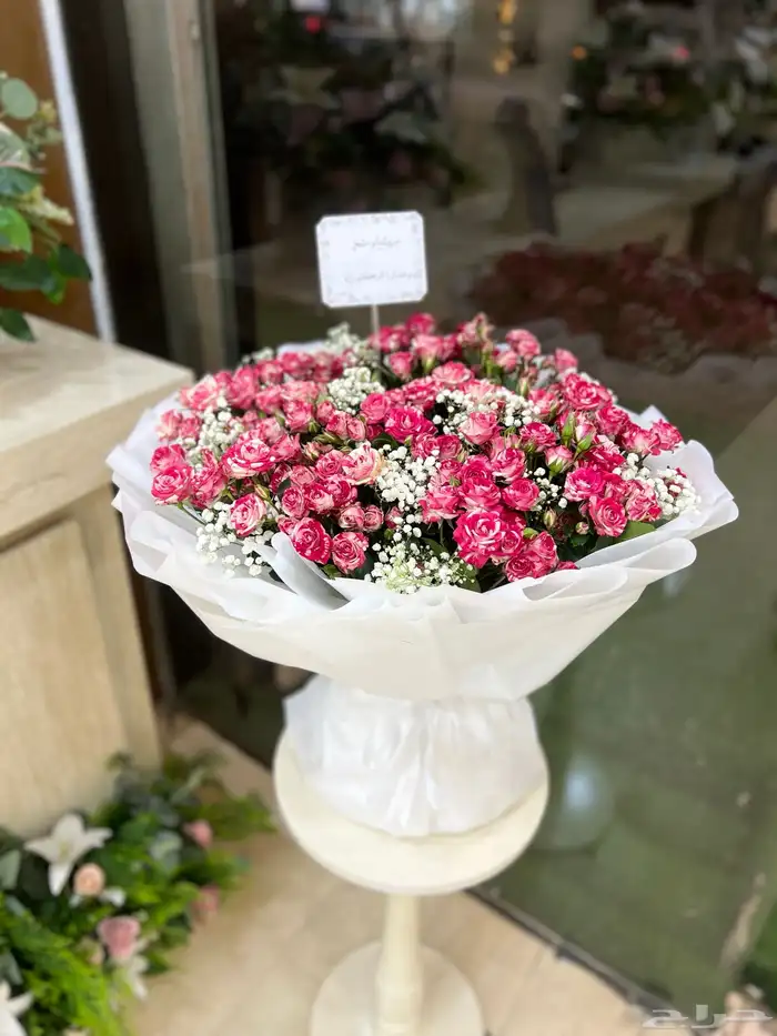 https   maps.app.goo.gl hpED9NPyrjjG7xEz7 g_st ic 63