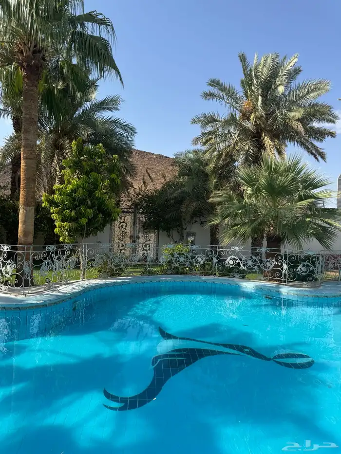استراحة لاقينا هوم بمسبح كبير جدا 9