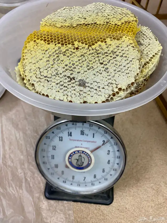 عسل قرض مضمون على الشرط 2