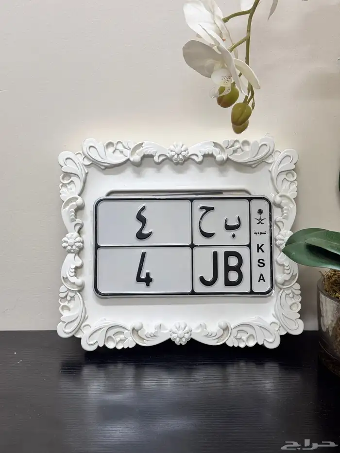 لوحه مميزه للبيع دباب 0