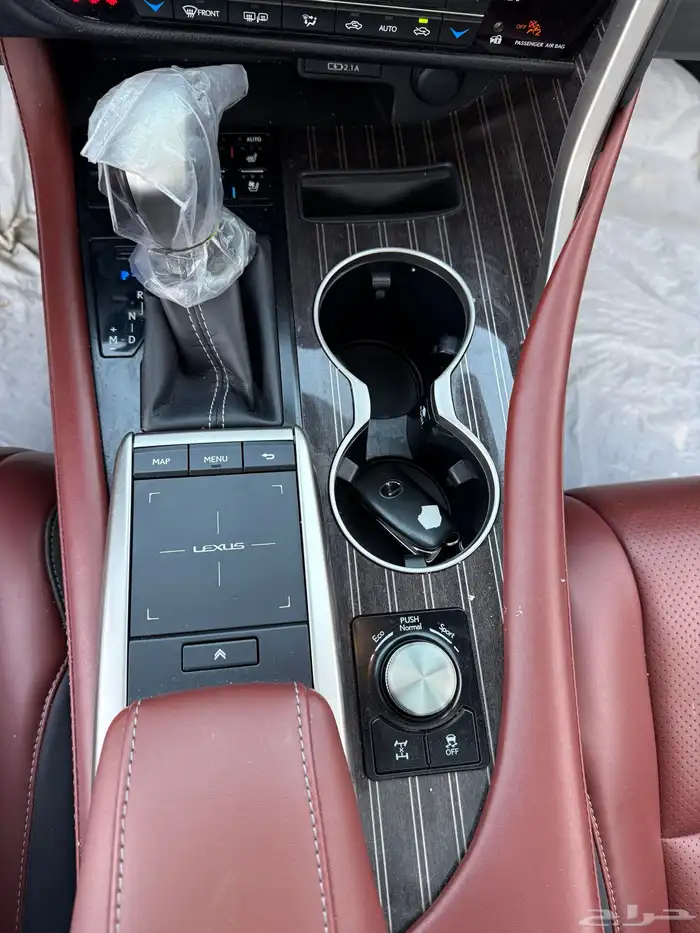 RX350 2020 20